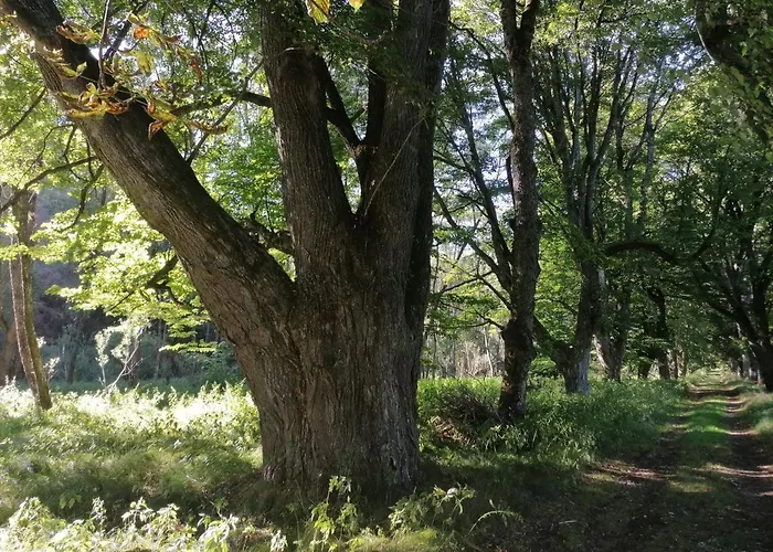 Na Pekarne * Železná Ruda